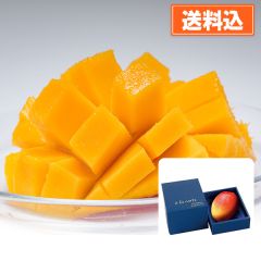 【予約販売】高糖度 高知県産完熟アップルマンゴー（400ｇ）