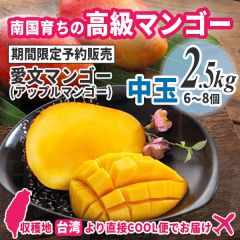 【予約販売】愛文マンゴー 中玉 2.5kg（6～8個）《台湾生産者直送品》