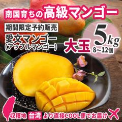 【予約販売】愛文マンゴー 大玉 5kg（8～12個）《台湾生産者直送品》