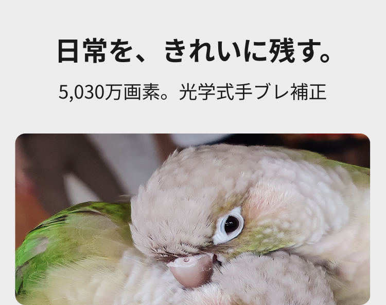 日常を、きれいに残す