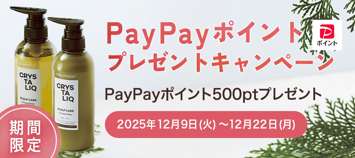 PayPayポイントプレゼントキャンペーン