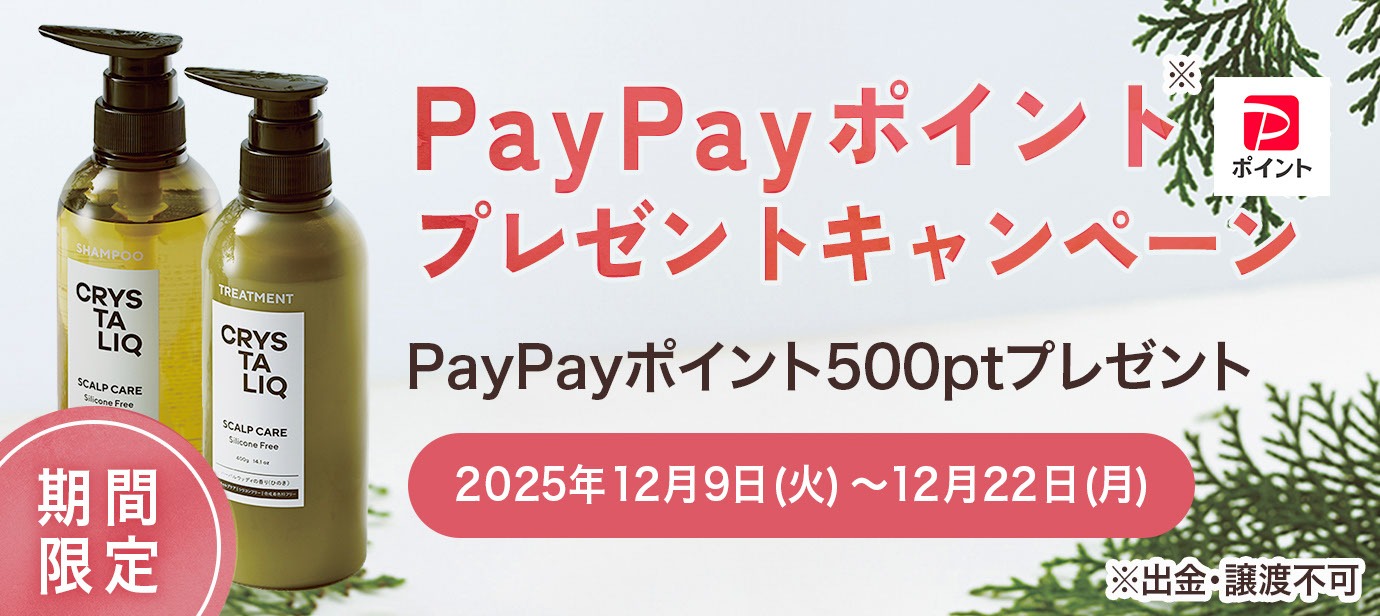 PayPayポイントプレゼントキャンペーン