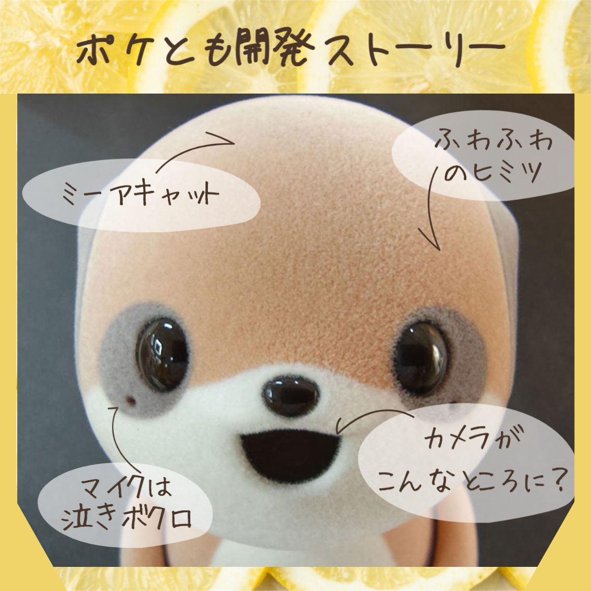 ポケとも開発ストーリー